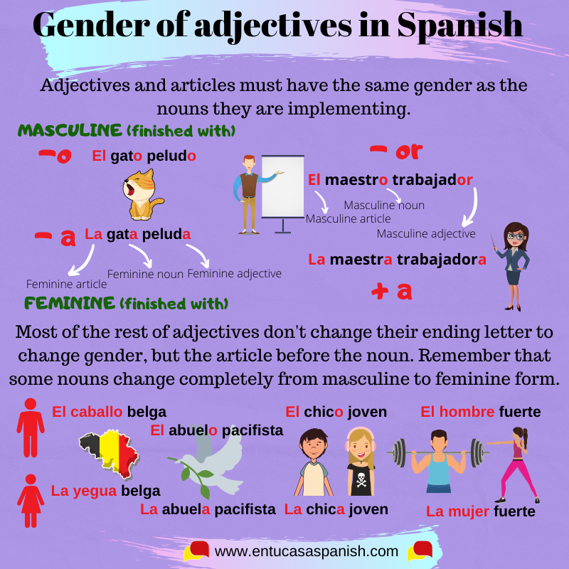 gender-of-adjectives-in-spanish-en-tu-casa-spanish